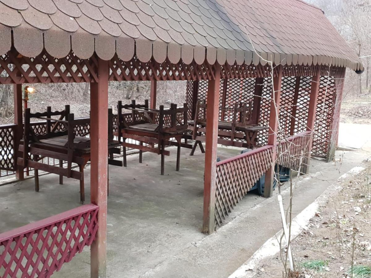 Pensiunea Lucica Sacelu Bagian luar foto