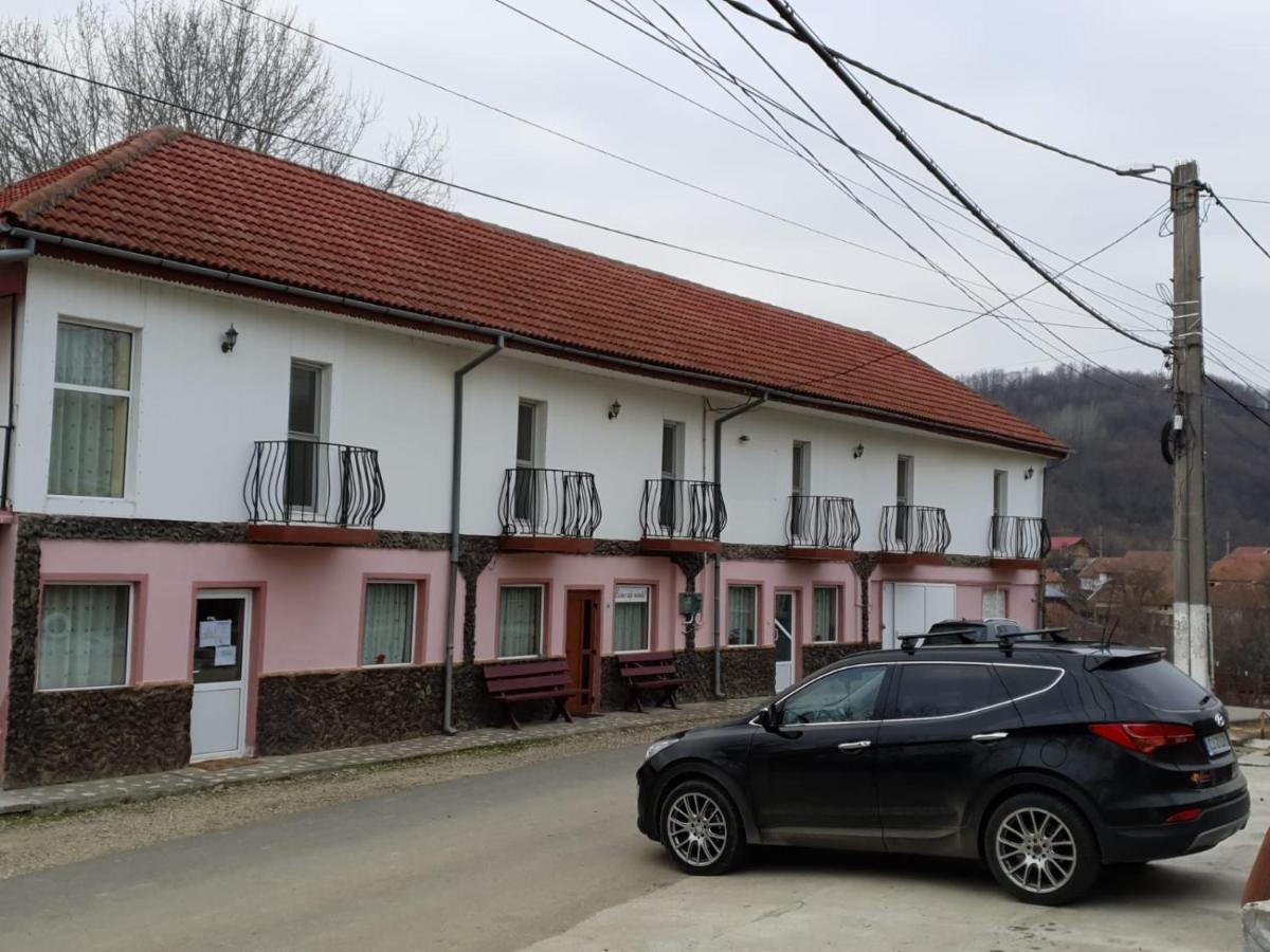 Pensiunea Lucica Sacelu Bagian luar foto