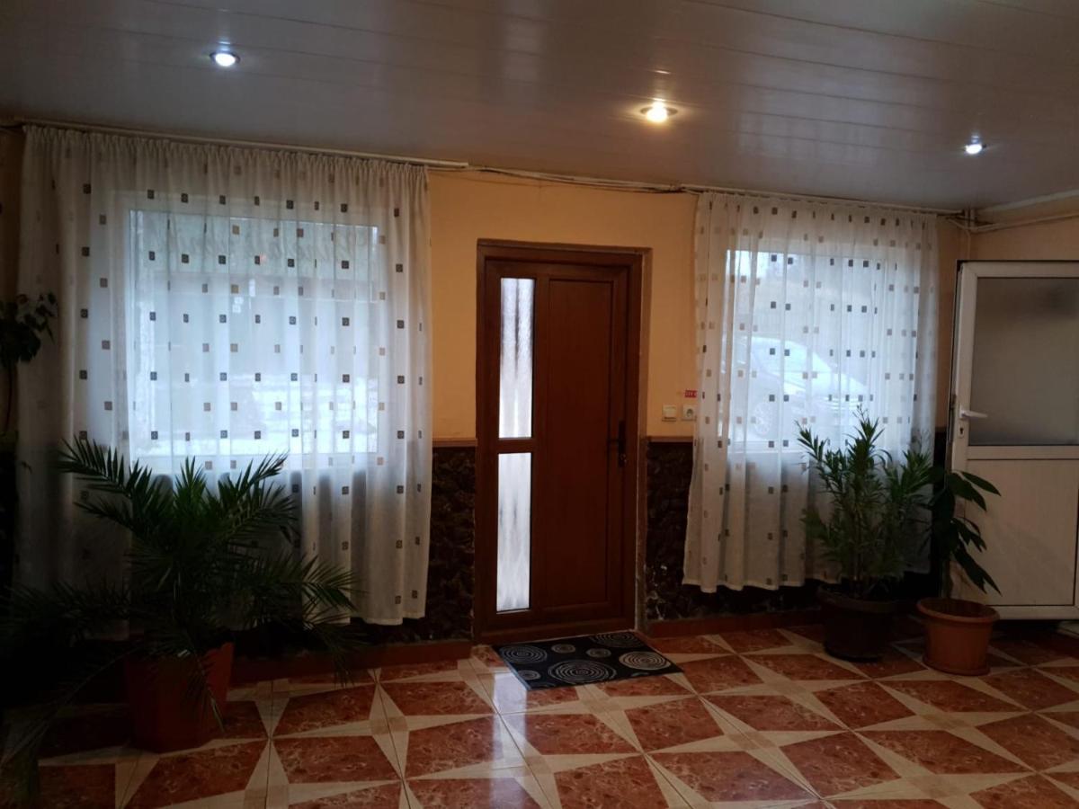 Pensiunea Lucica Sacelu Bagian luar foto