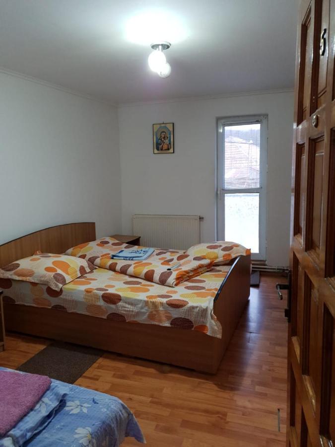 Pensiunea Lucica Sacelu Bagian luar foto
