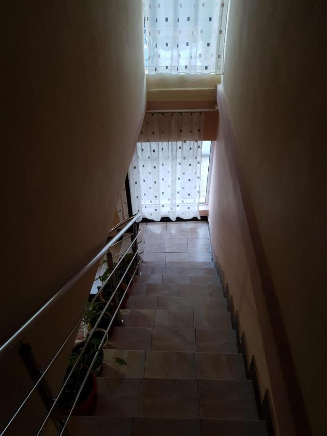 Pensiunea Lucica Sacelu Bagian luar foto