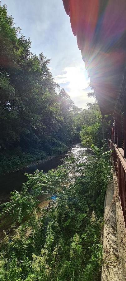 Pensiunea Lucica Sacelu Bagian luar foto