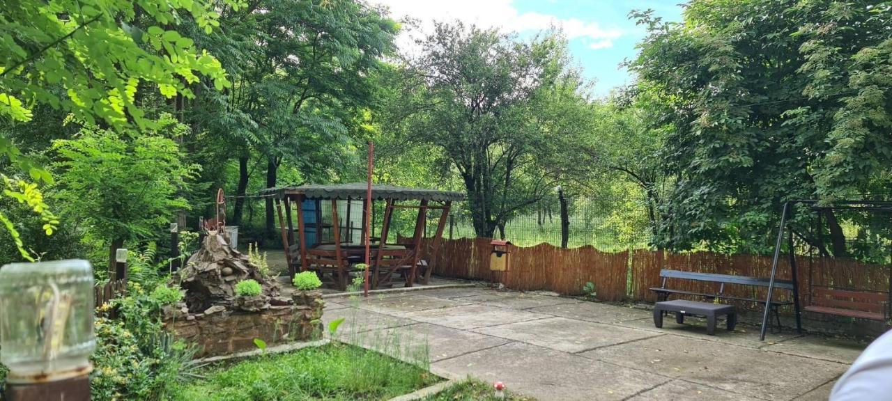 Pensiunea Lucica Sacelu Bagian luar foto